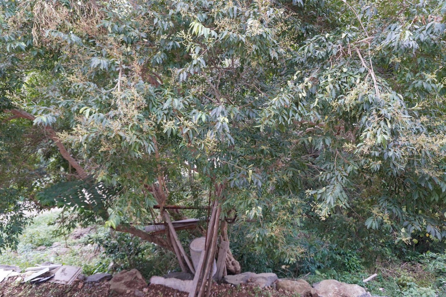 Grounds and garden