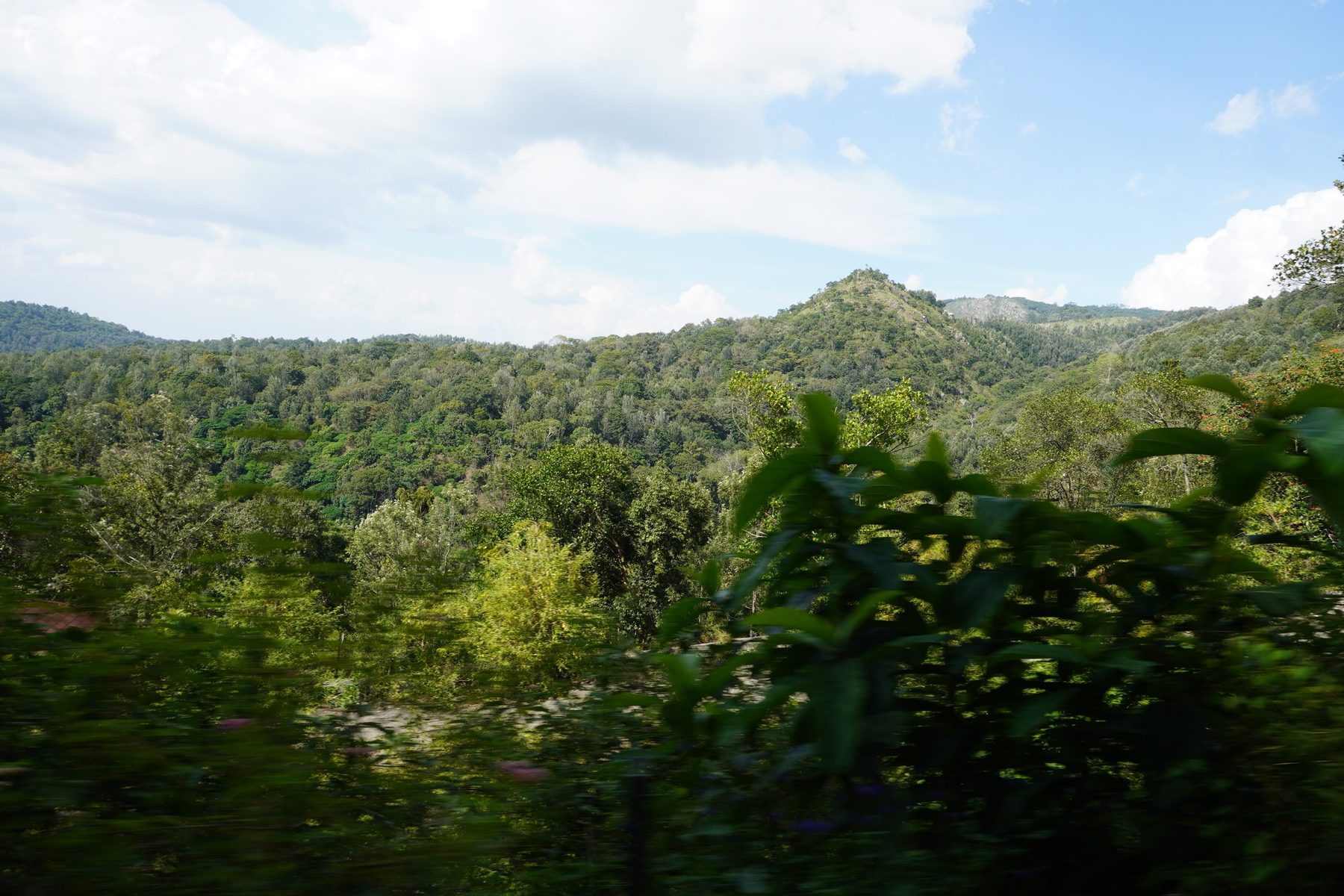 Hill view on the way up